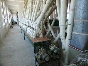 粉绞笼
