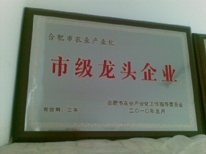 2010年市级龙头企业
