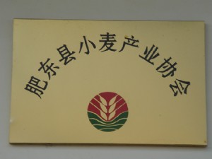 肥东县小麦产业协会