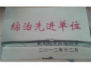 综治先进单位