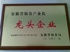 2010年安徽省粮食产业化龙头企业