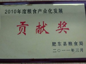 贡献奖
