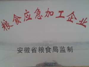 粮食应急加工企业