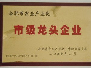 市级龙头企业