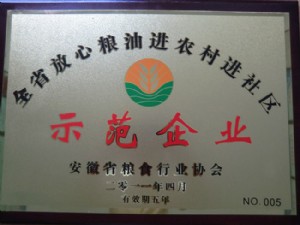 示范企业